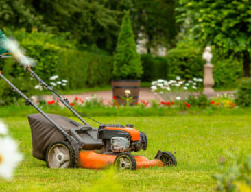 Lawn care. Cutting grass with a lawn mower. beautiful landscape. Garden maintenance.